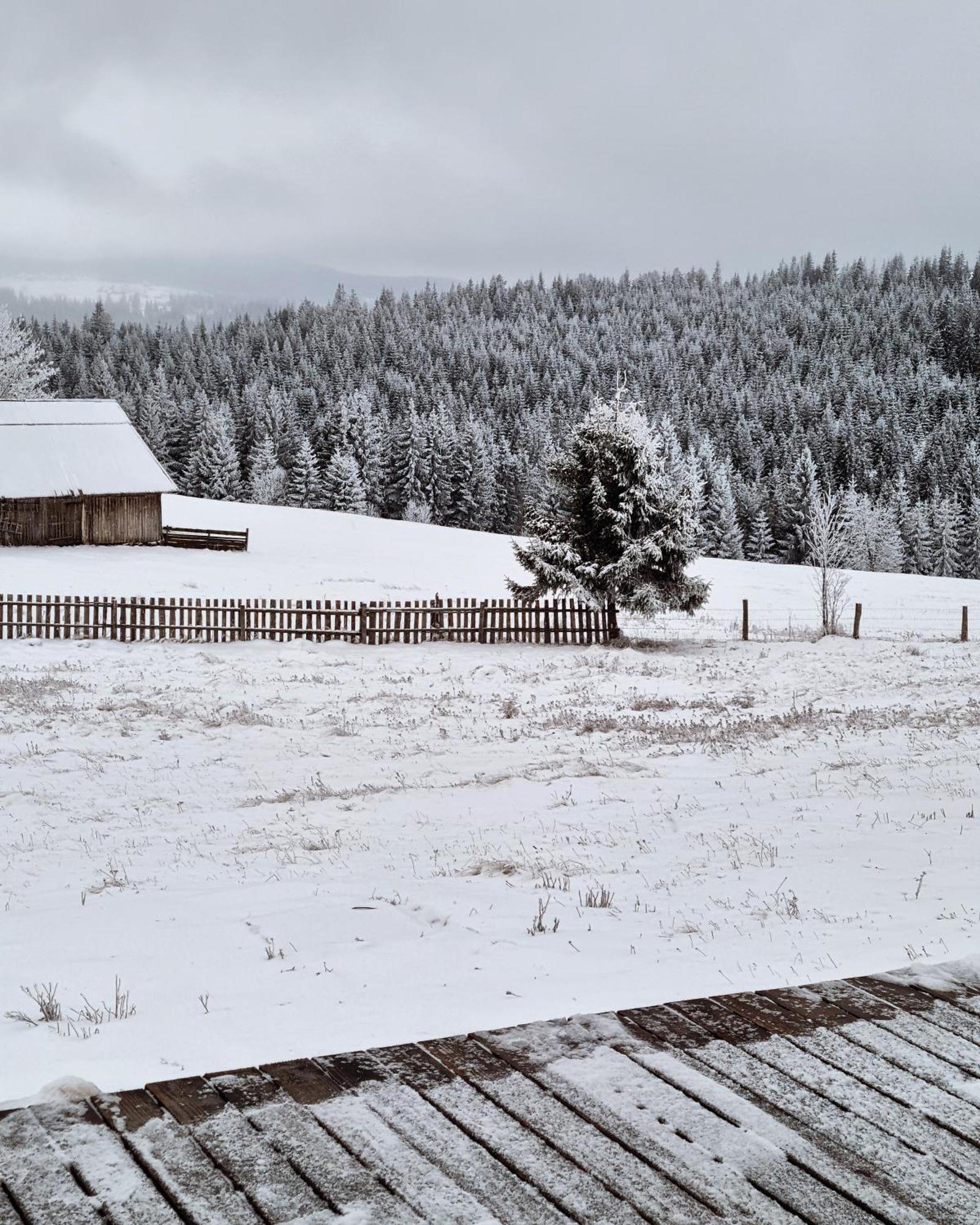 Chalet Mokki *